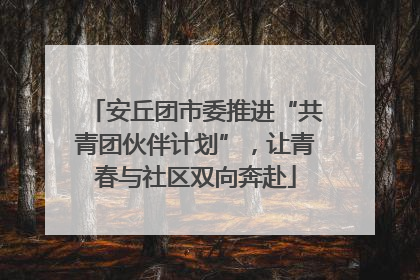 安丘团市委推进“共青团伙伴计划”，让青春与社区双向奔赴