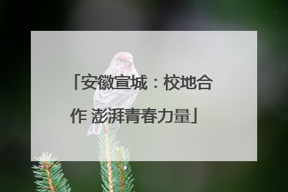 安徽宣城：校地合作 澎湃青春力量