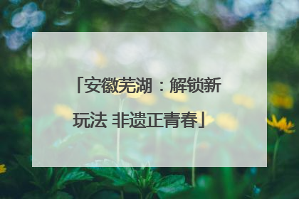 安徽芜湖：解锁新玩法 非遗正青春