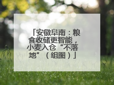 安徽阜南：粮食收储更智能，小麦入仓“不落地”（组图）