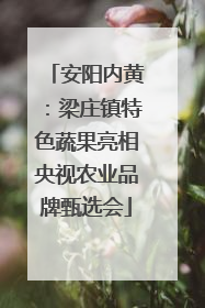 安阳内黄：梁庄镇特色蔬果亮相央视农业品牌甄选会
