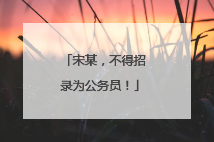 宋某，不得招录为公务员！