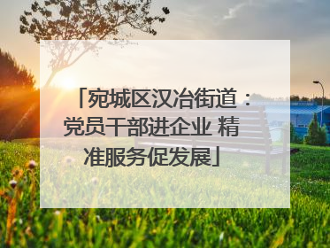 宛城区汉冶街道：党员干部进企业 精准服务促发展