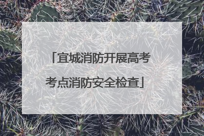 宜城消防开展高考考点消防安全检查