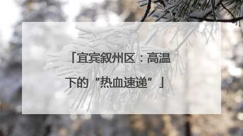 宜宾叙州区：高温下的“热血速递”