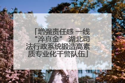 增强责任感 一线“淬真金” 湖北司法行政系统锻造高素质专业化干警队伍