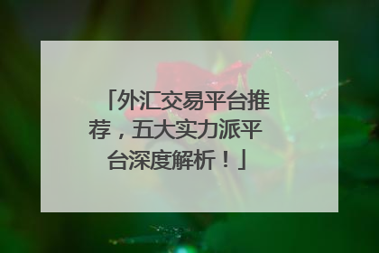 外汇交易平台推荐，五大实力派平台深度解析！
