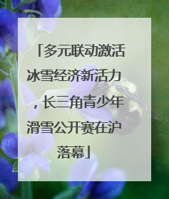 多元联动激活冰雪经济新活力，长三角青少年滑雪公开赛在沪落幕