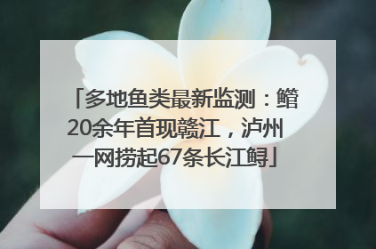多地鱼类最新监测：鳤20余年首现赣江，泸州一网捞起67条长江鲟