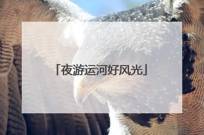 夜游运河好风光