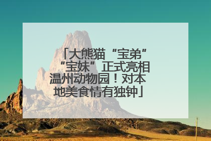 大熊猫“宝弟”“宝妹”正式亮相温州动物园！对本地美食情有独钟