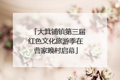 大箕铺镇第三届红色文化旅游季在曹家晚村启幕