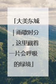 大美东城｜雨歇时分，这里藏着一片会呼吸的绿境