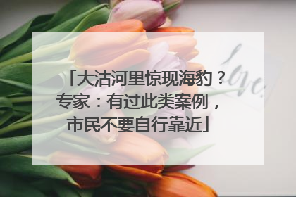 大沽河里惊现海豹？专家：有过此类案例，市民不要自行靠近