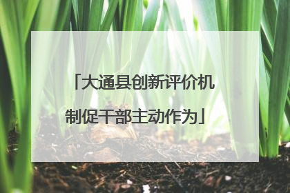 大通县创新评价机制促干部主动作为