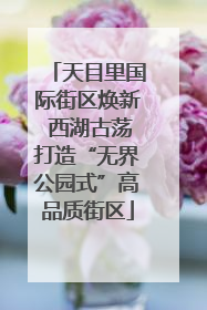 天目里国际街区焕新 西湖古荡打造“无界公园式”高品质街区