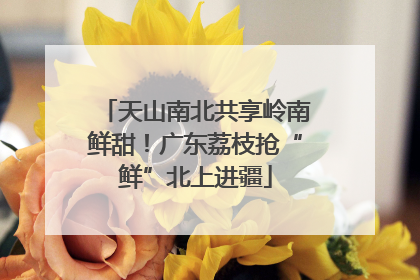 天山南北共享岭南鲜甜！广东荔枝抢“鲜”北上进疆