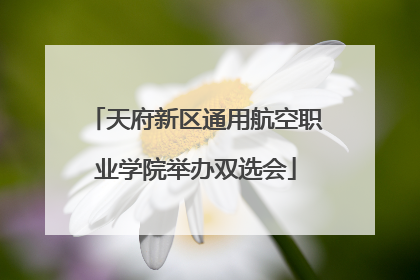 天府新区通用航空职业学院举办双选会