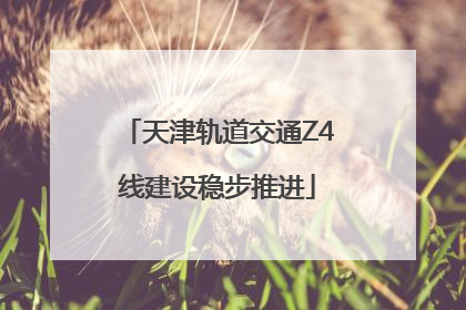天津轨道交通Z4线建设稳步推进
