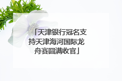 天津银行冠名支持天津海河国际龙舟赛圆满收官