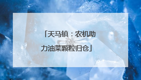 天马镇：农机助力油菜颗粒归仓