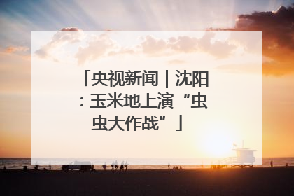 央视新闻｜沈阳：玉米地上演“虫虫大作战”
