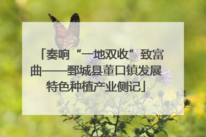 奏响“一地双收”致富曲——鄄城县董口镇发展特色种植产业侧记