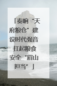 奏响“天府粮仓”建设时代强音 扛起粮食安全“眉山担当”