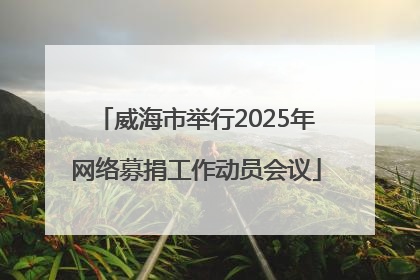 威海市举行2025年网络募捐工作动员会议