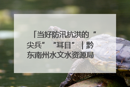 当好防汛抗洪的“尖兵”“耳目”｜黔东南州水文水资源局全员出动为此轮强降雨做好测报工作