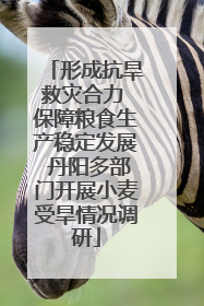 形成抗旱救灾合力 保障粮食生产稳定发展 丹阳多部门开展小麦受旱情况调研