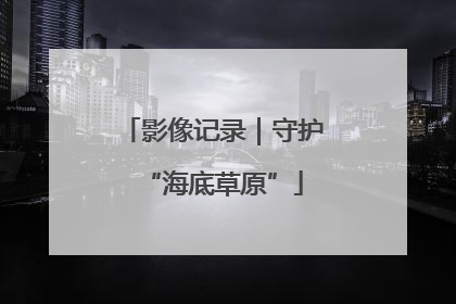 影像记录｜守护“海底草原”