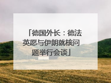 德国外长：德法英愿与伊朗就核问题举行会谈