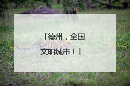 德州，全国文明城市！