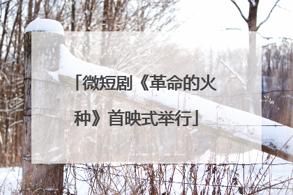 微短剧《革命的火种》首映式举行