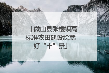 微山县张楼镇高标准农田建设绘就好“丰”景