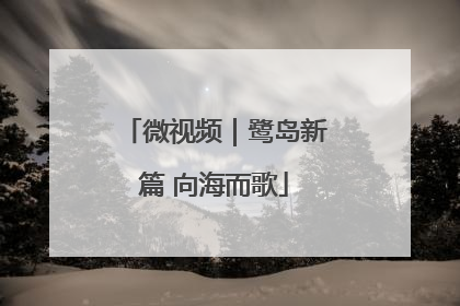 微视频｜鹭岛新篇 向海而歌