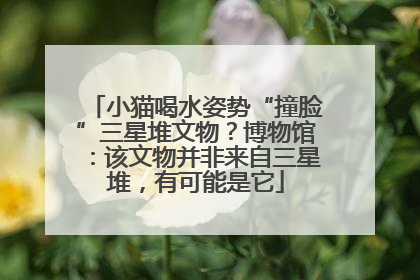 小猫喝水姿势“撞脸”三星堆文物？博物馆：该文物并非来自三星堆，有可能是它