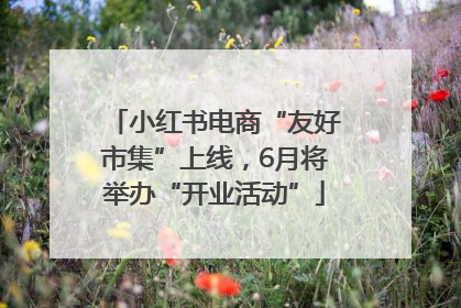 小红书电商“友好市集”上线，6月将举办“开业活动”