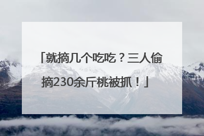 就摘几个吃吃？三人偷摘230余斤桃被抓！