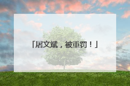 屠文斌，被重罚！