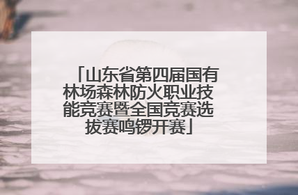 山东省第四届国有林场森林防火职业技能竞赛暨全国竞赛选拔赛鸣锣开赛