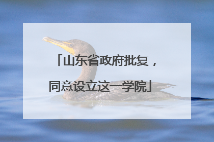 山东省政府批复，同意设立这一学院