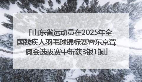 山东省运动员在2025年全国残疾人羽毛球锦标赛暨东京聋奥会选拔赛中斩获3银1铜