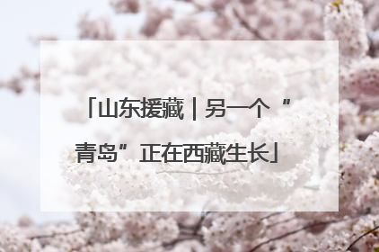 山东援藏｜另一个“青岛”正在西藏生长