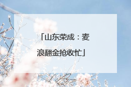 山东荣成：麦浪翻金抢收忙