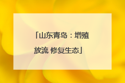 山东青岛：增殖放流 修复生态