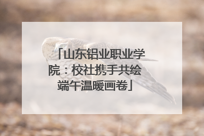 山东铝业职业学院：校社携手共绘端午温暖画卷
