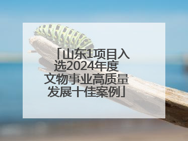 山东1项目入选2024年度文物事业高质量发展十佳案例