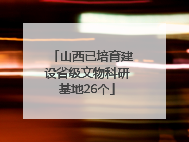 山西已培育建设省级文物科研基地26个